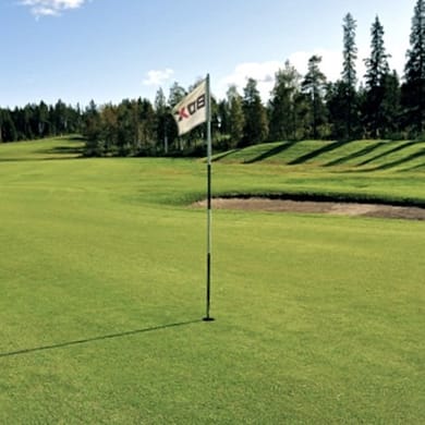 Piteå Golfklubb (18h)