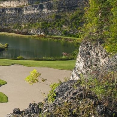 Sandy Lane Resort (The Green Monkey)