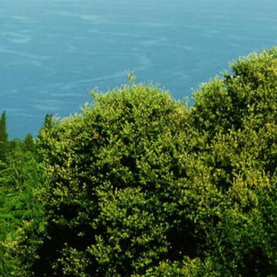 Monte-Carlo Golf Club