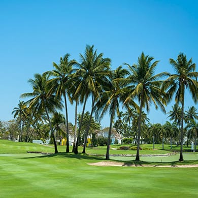 Mayan Palace at Vidanta Acapulco