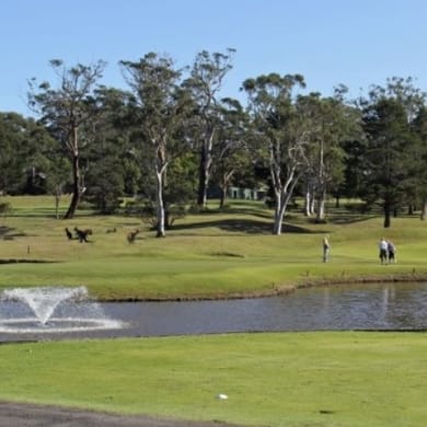 St Georges Basin Country Club