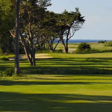 Visby Golfklubb (The Next One)