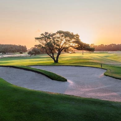 Visby Golfklubb (The One)