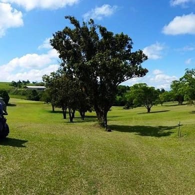Millaa Millaa Golf Club