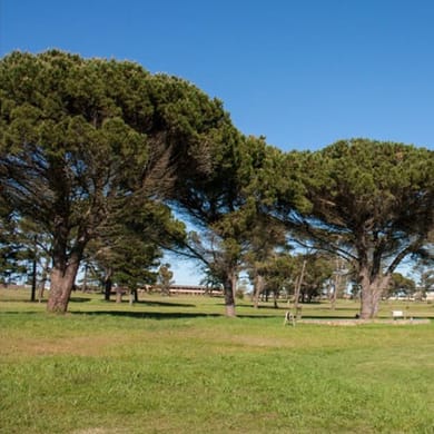 Albertinia Golf Club