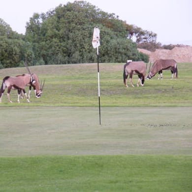 Alexanderbaai Golf Club