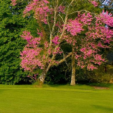 Golf de la Bretesche