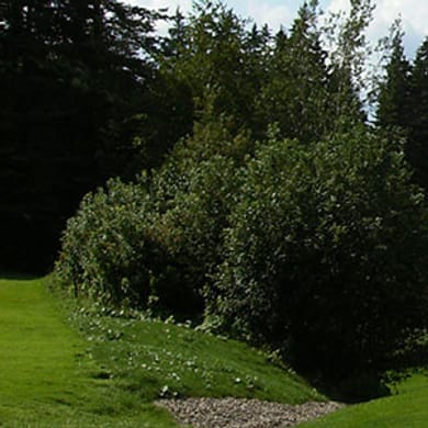 Petitcodiac Valley Golf & Country Club