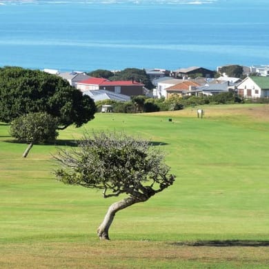 Stilbaai Golf Club