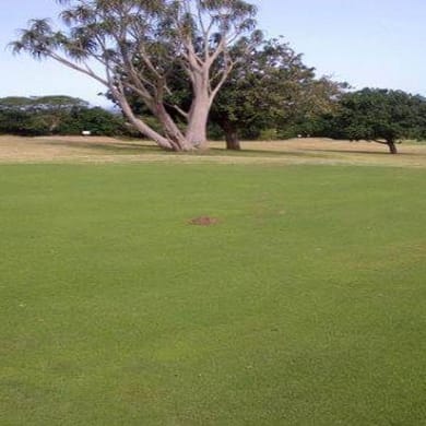 Umfolozi Country Club