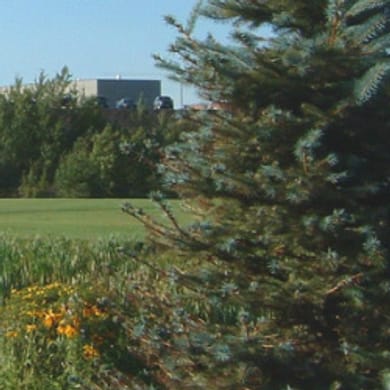 Twin Stacks Golf Club