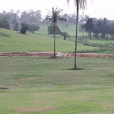 Calabar Golf Club