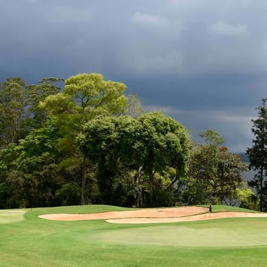 Federação Paulista De Golf
