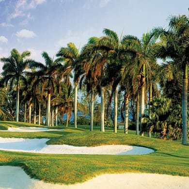 Half Moon Golf Tennis & Beach Club