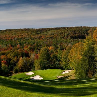 Treetops Resort (Premier)