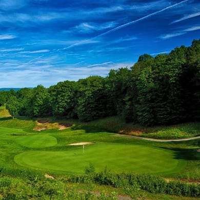 Treetops Resort (Signature)