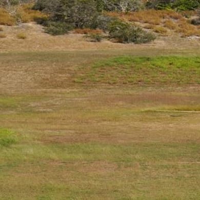 The Lateral Hazard Golf Course