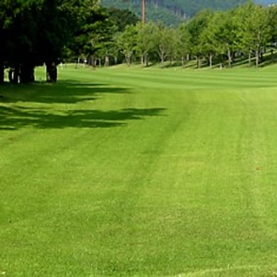 Fuji Country Club Saga