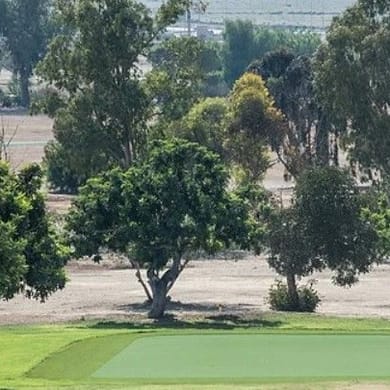 Joint Services Golf Club Dhekelia