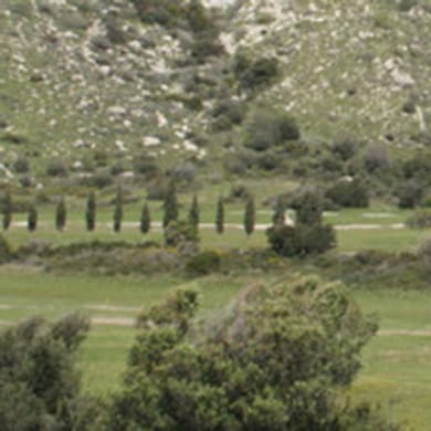 Joint Services Golf Club Episkopi