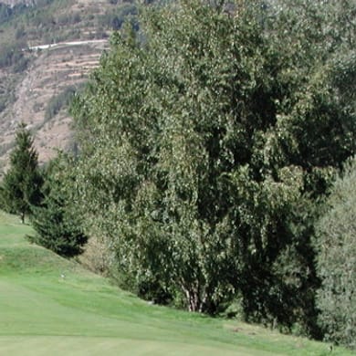 Golf Club Aosta Arsanières