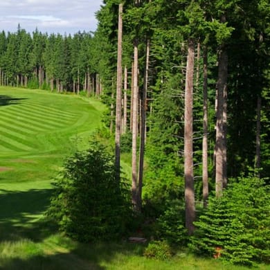 Storey Creek Golf Club