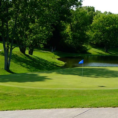 Bright Leaf Golf Resort (Championship)