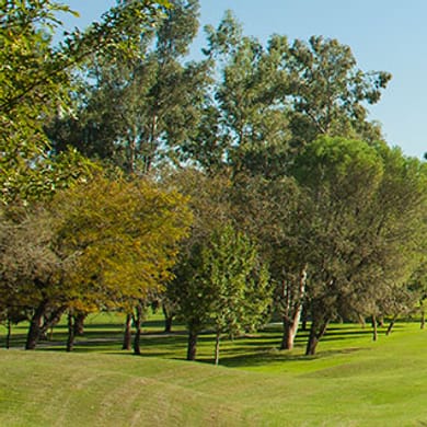 Club de Golf Valle Alto