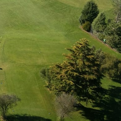 Napier Golf Club