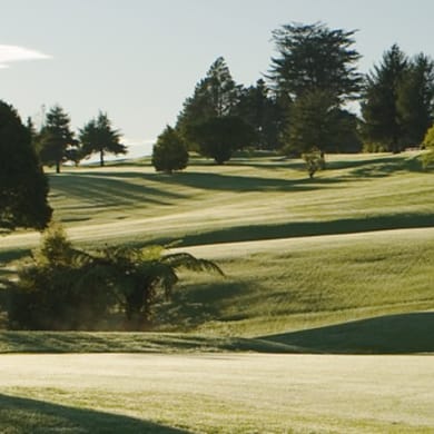 Redwood Park Golf Club