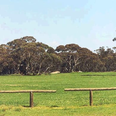 Berriwillock Golf Club