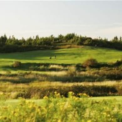 Pippy Park - Captain's Hill Golf Course