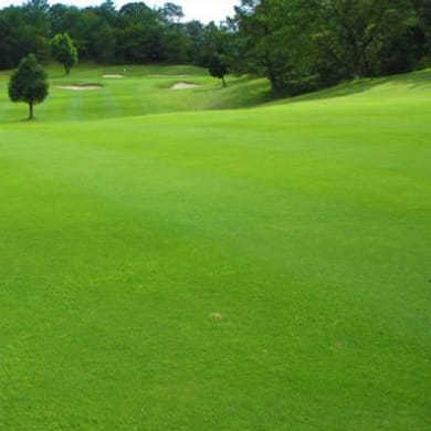 Lake Swan Country Club