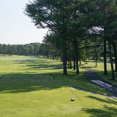 Nidom Classic Course Ikoro