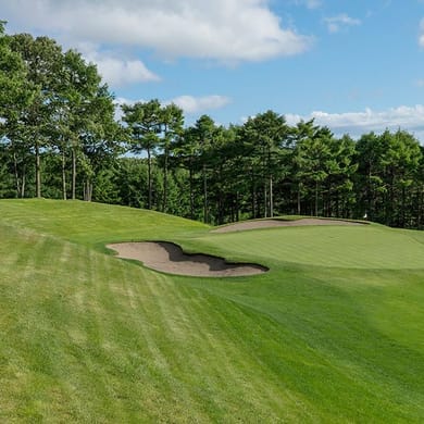 Nidom Classic Course Nispa