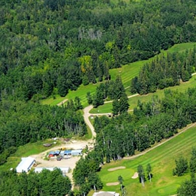 Silver Birch Golf Club