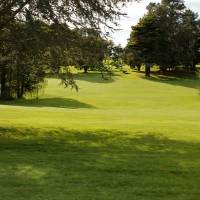 Hauraki Golf Club