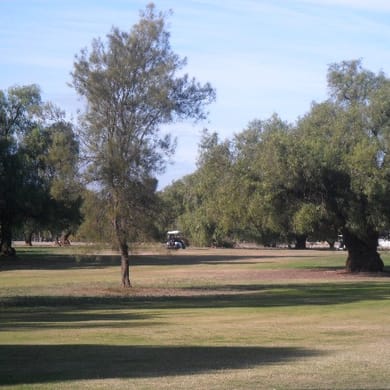 Berrigan Community Golf and Bowling Club