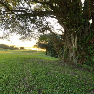 Richards Bay Country Club - Mzingazi Golf Estate