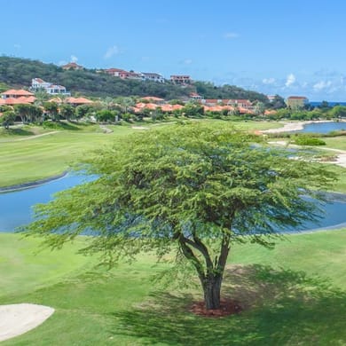 Blue Bay Golf & Beach Resort