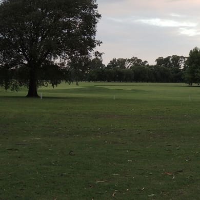 Media Luna Polo Club