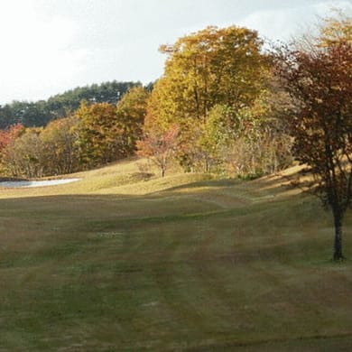 Shin Akita Wins Country Club