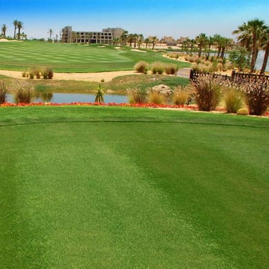 Sokhna Golf Club