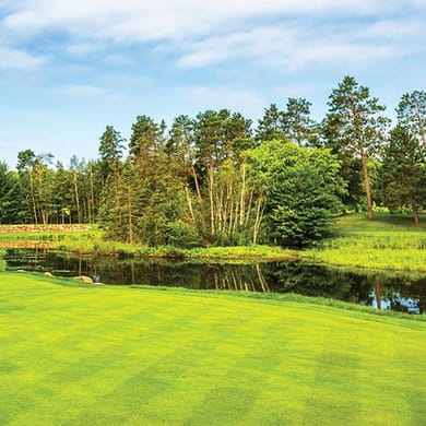 Grand View Lodge - The Pines