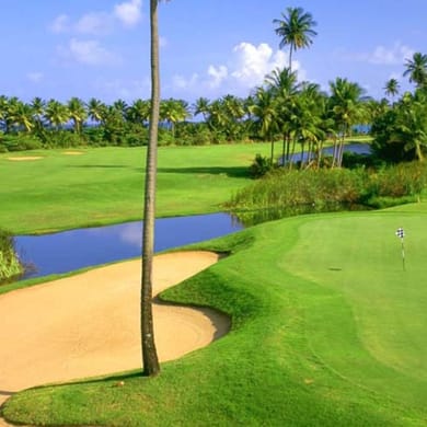 Palmas del Mar Country Club (Flamboyán)