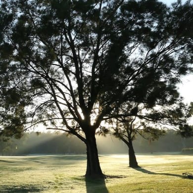 Meadowbrook Golf Club