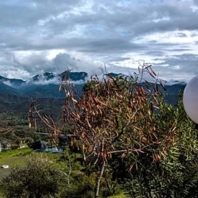 Vikla Golf & Country Club