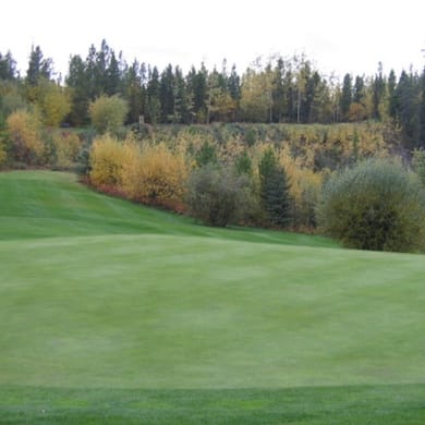 Mountain View Golf Club