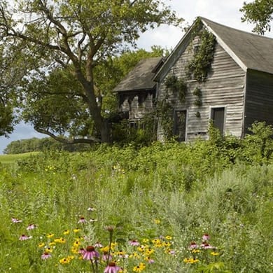 Wildflower Golf Course