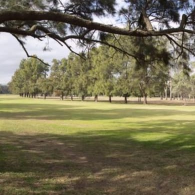 Muswellbrook Golf Club